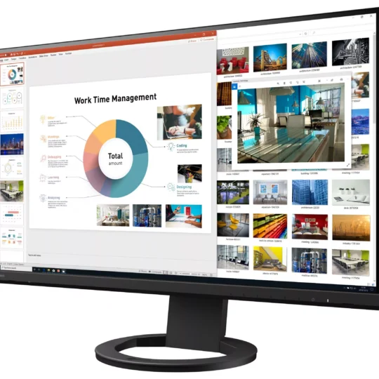 EIZO EV2460